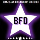 ⋆✦BFD BRAZILIAN FRIENDSHIP DISTR Icon