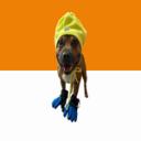 Zeus Empire I PMF Icon