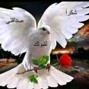 Ki t'koun ge3ed w' matsib che... Icon