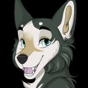 Official r/yiff Discord Icon