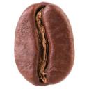 Little Bean House Icon