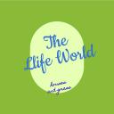 The Life World Icon