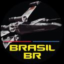 Brasil BR Icon