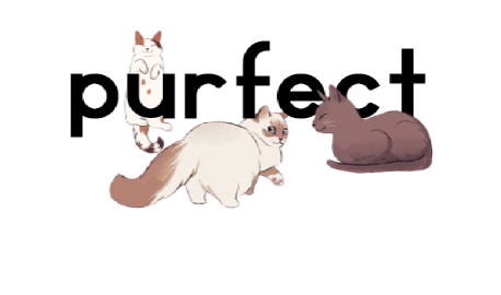 purfect Discord Server Banner