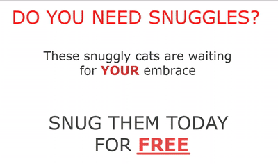 ❤️Kass' Litter❤️[/Furry] Small Banner