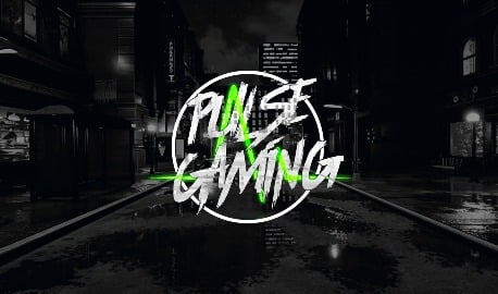 Pulse Gaming Small Banner