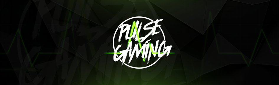 Pulse Gaming Discord Server Banner
