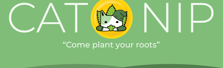 Cat Nip Financial Discord Server Banner