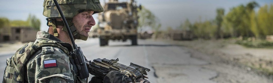 Polonia PM Discord Server Banner