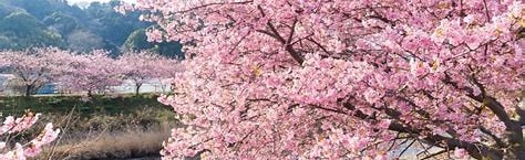 lost souls Discord Server Banner