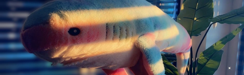 Wamellow Discord Server Banner