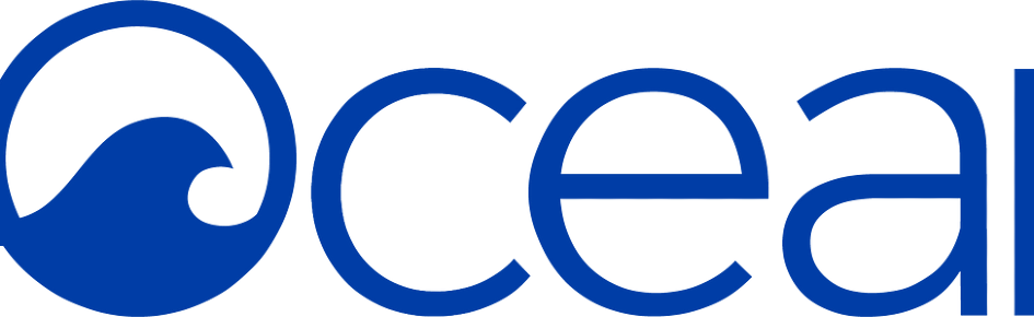 4OCEAN PPF Discord Server Banner