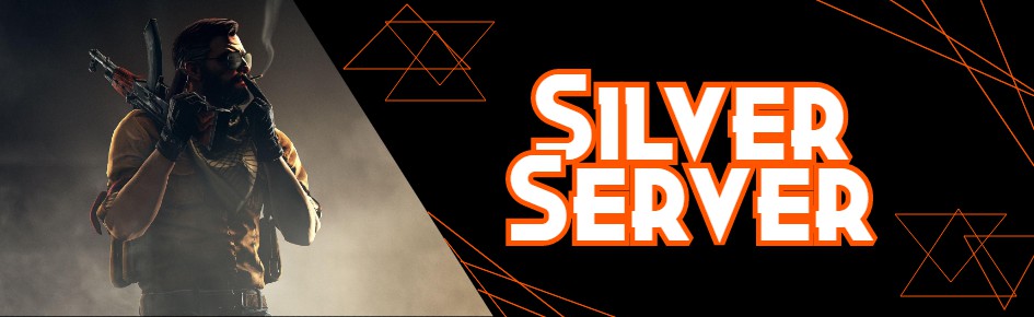 Silver Server Discord Server Banner