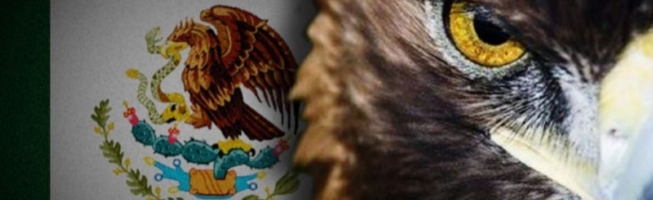 WPlace Bandera de Mexico Discord Server Banner