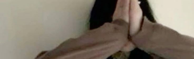 família vns Discord Server Banner