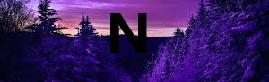 NistiLandiaRP Discord Server Banner