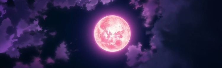 NightLovers Discord Server Banner