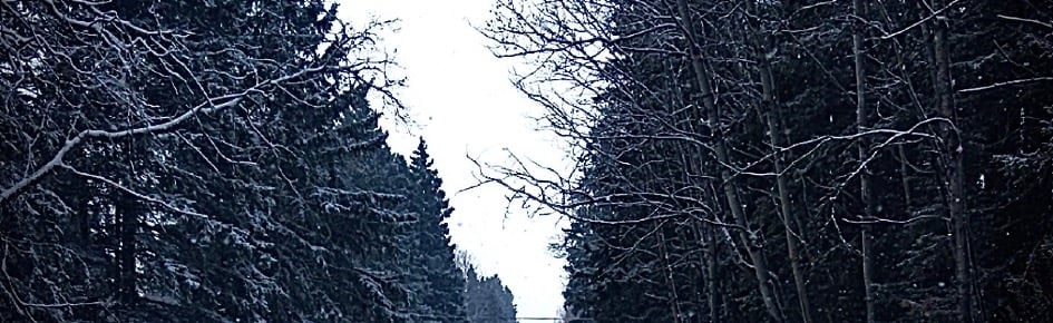 /woken Discord Server Banner