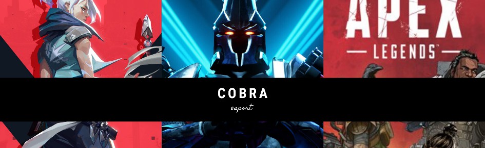 Cobra esports Discord Server Banner