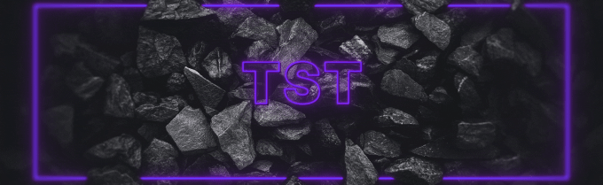 TST Discord Server Banner