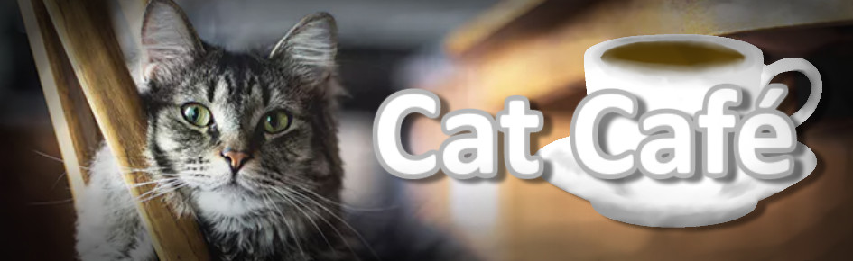 Cat Café Discord Server Banner