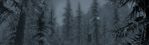 Gymir Ulveskare Discord Server Banner