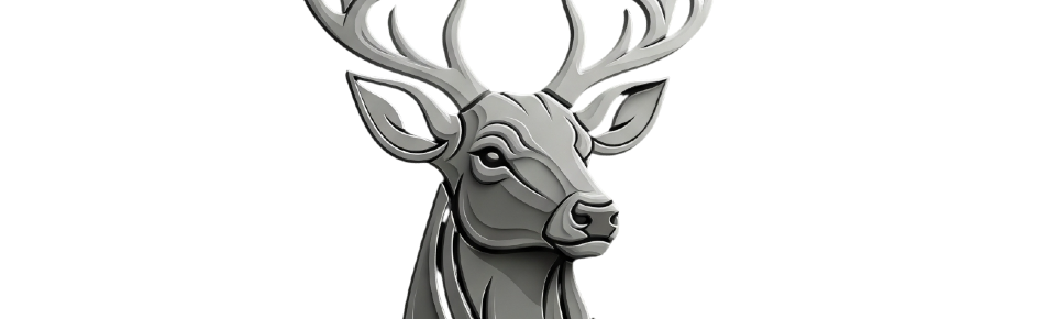 Gasca Nebuna Discord Server Banner