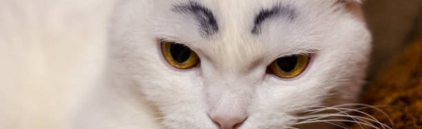 Hot Garbage Discord Server Banner