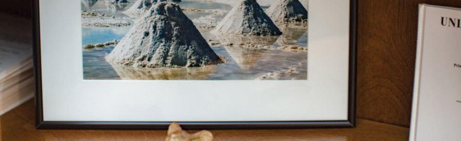 Scionation Community Discord Server Banner