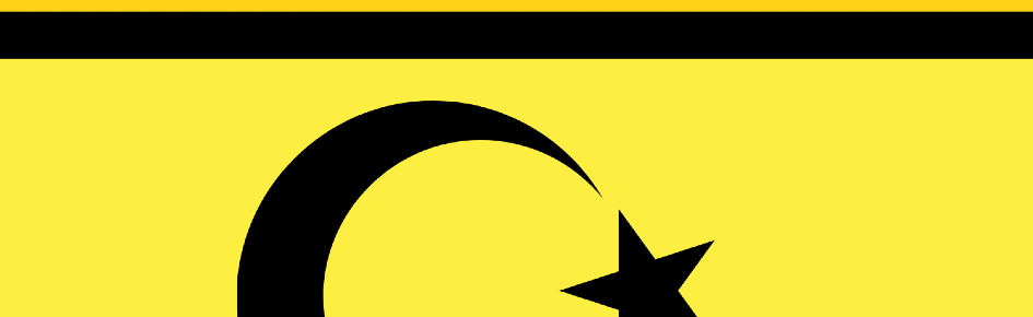 TATARİS PİXEL Discord Server Banner