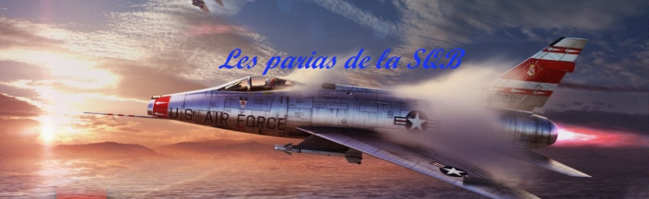 Les Parias de la SQB Discord Server Banner