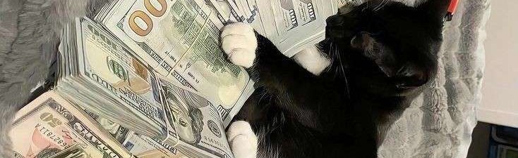 Galaxy Gifs Discord Server Banner