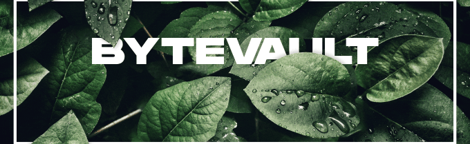 ByteVault Discord Server Banner