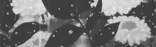 Gospel of the new century Discord Server Banner