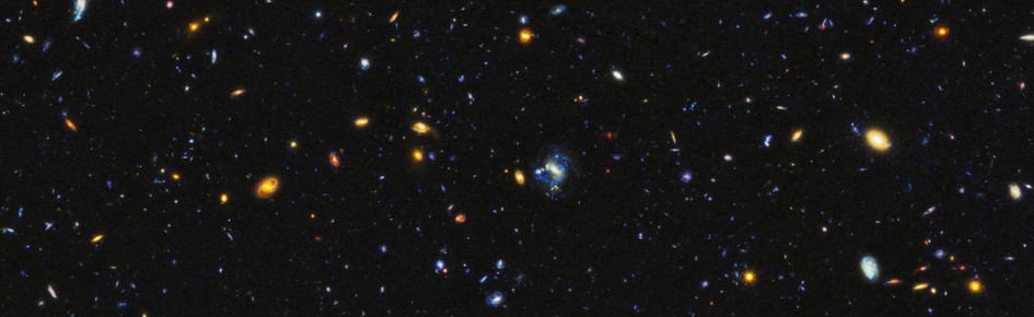 Animeland Discord Server Banner