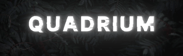 Quadrium | Home for gamers Discord Server Banner