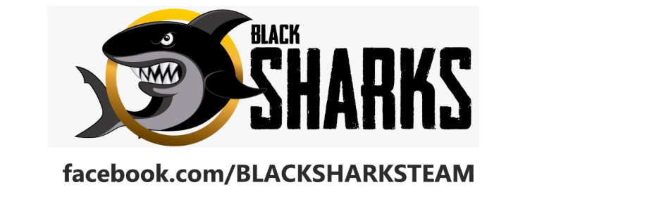 Back Sharks Discord Server Banner