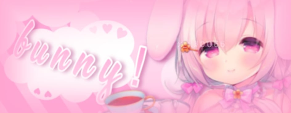 ˚ ₊ /) /) ₊ ✩ ｡ Discord Server Banner