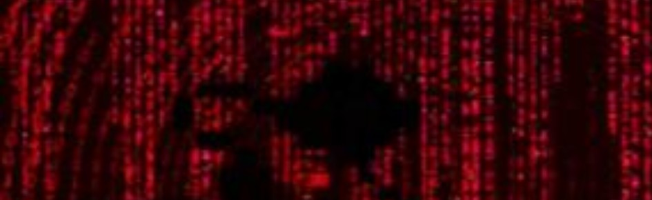 Pani Community Discord Server Banner