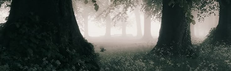 /Suya Discord Server Banner