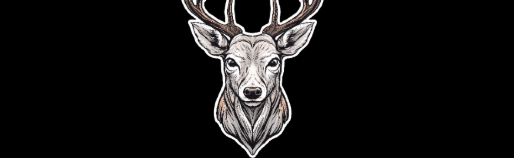 National ORganisation Discord Server Banner