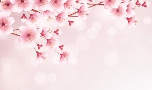 (✿◠‿◠)  Ｂｏｏｓｈｕ Discord Server Banner