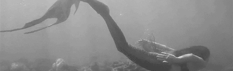 TGirl Tooties Discord Server Banner