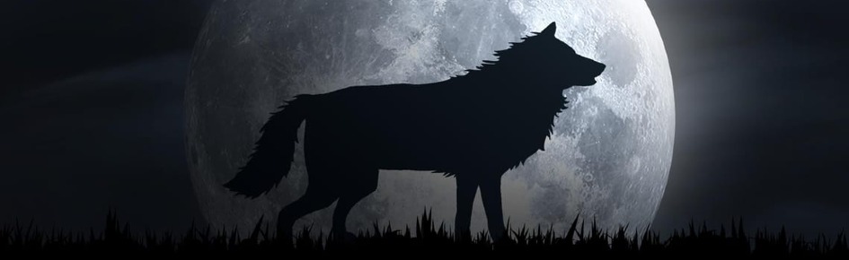 Wolfhöhle Discord Server Banner