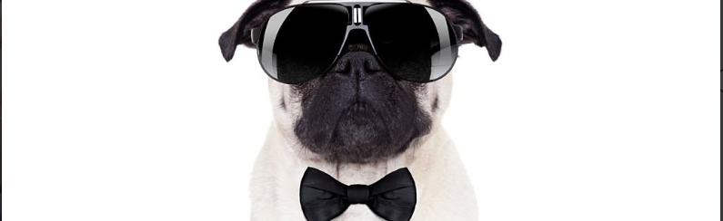 The 8-bit CRIB Discord Server Banner