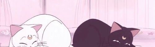 maelovesyou’s playground Discord Server Banner