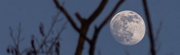 FOTOGRAFIA! Discord Server Banner