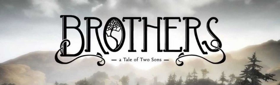 Brother'S Discord Server Banner