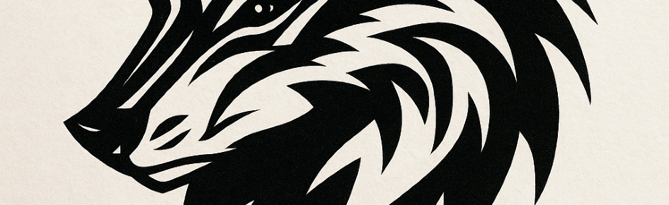 nocturna Discord Server Banner