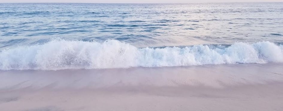 Aquatic Creatures Discord Server Banner